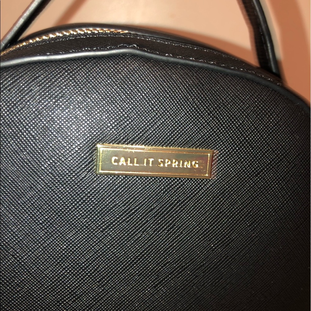 Call It Spring Backpack - Picture 5 of 6